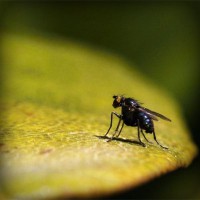 /album/www-bdanglicka-8-10-cz/photolia-a07-jpg/